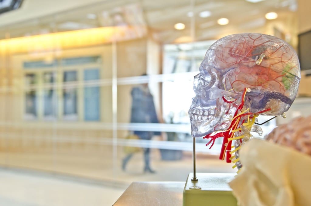 Cognitive Function
